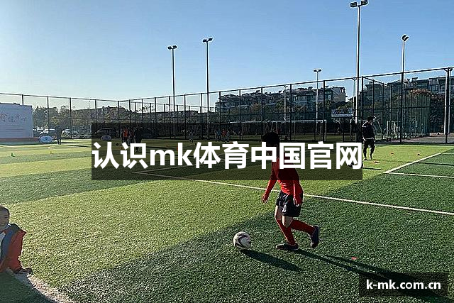 认识mk体育中国官网